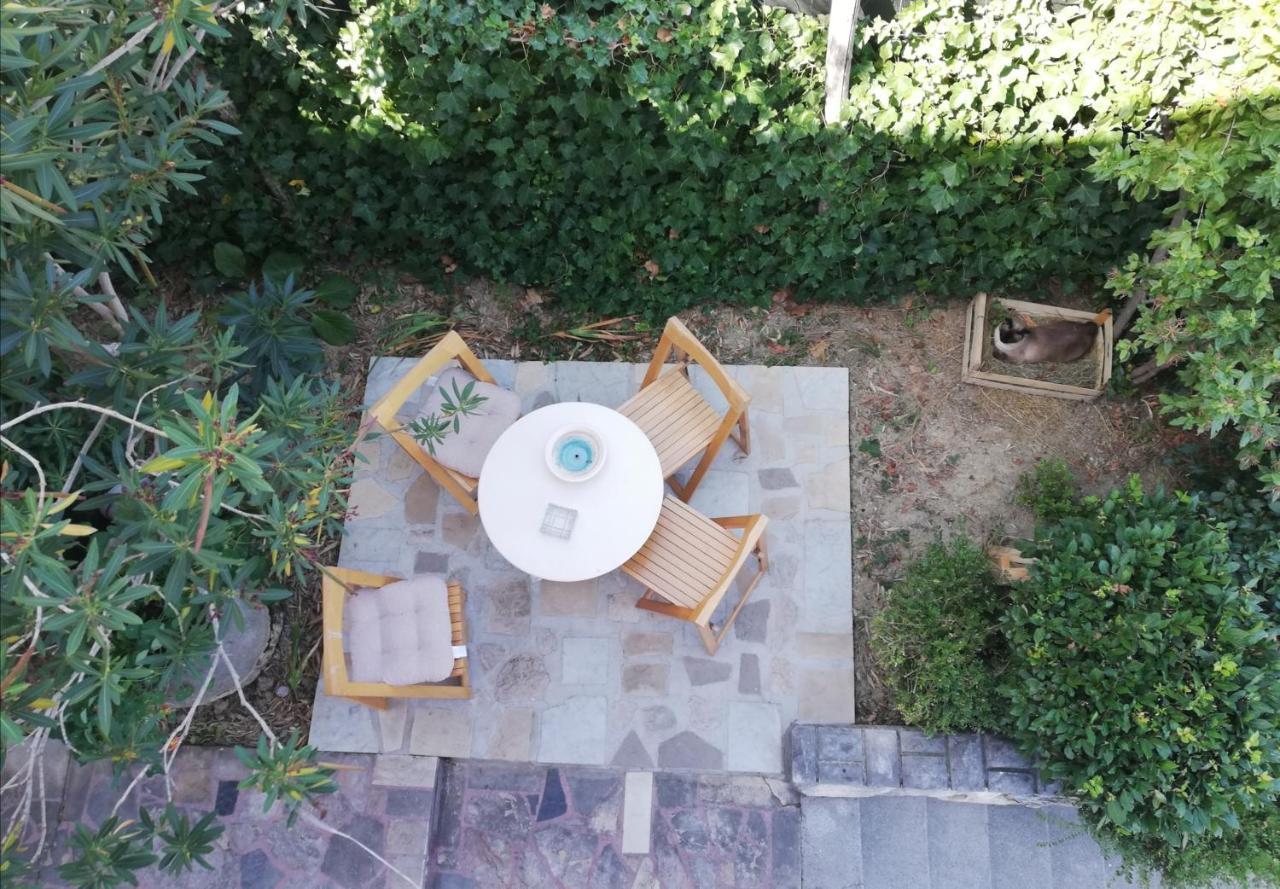 Vila Flori Koper Dış mekan fotoğraf