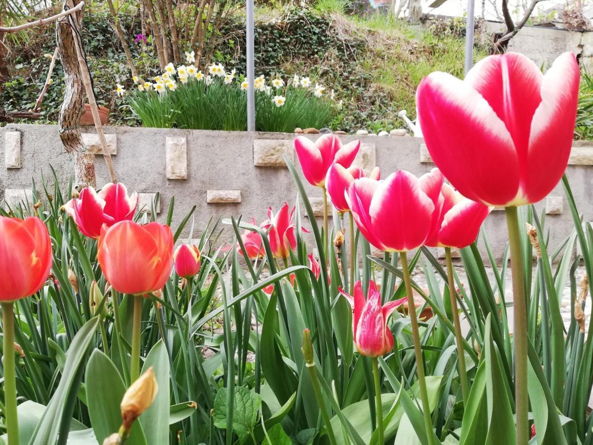Vila Flori Koper Dış mekan fotoğraf